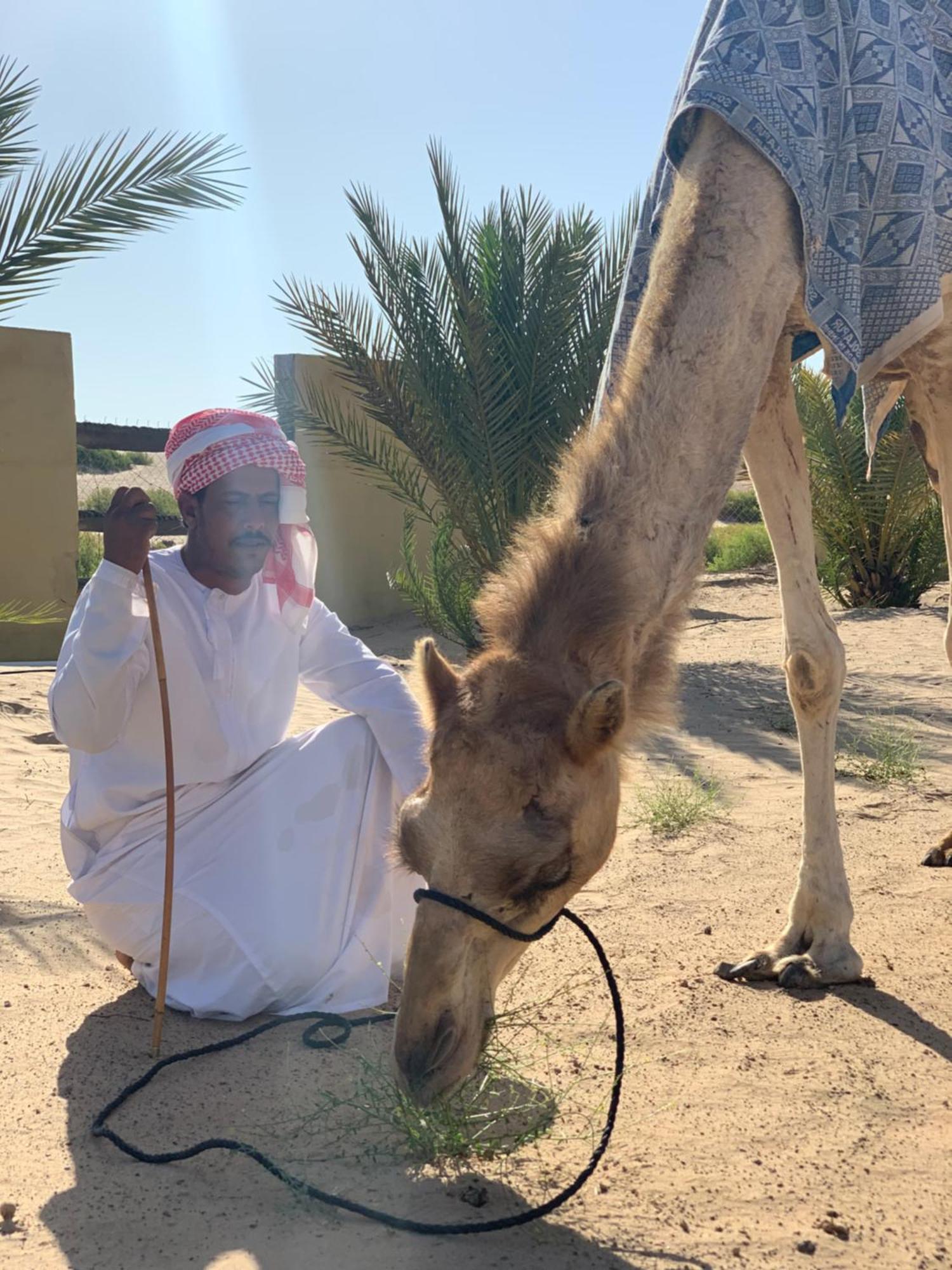 ホテル Golden Palm Oasis Fulayj al Masha'ikh エクステリア 写真