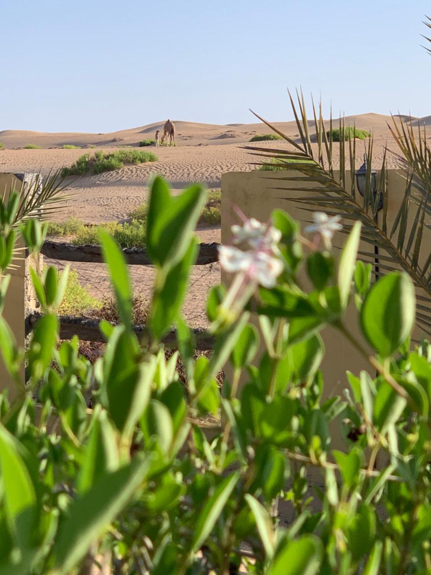 ホテル Golden Palm Oasis Fulayj al Masha'ikh エクステリア 写真